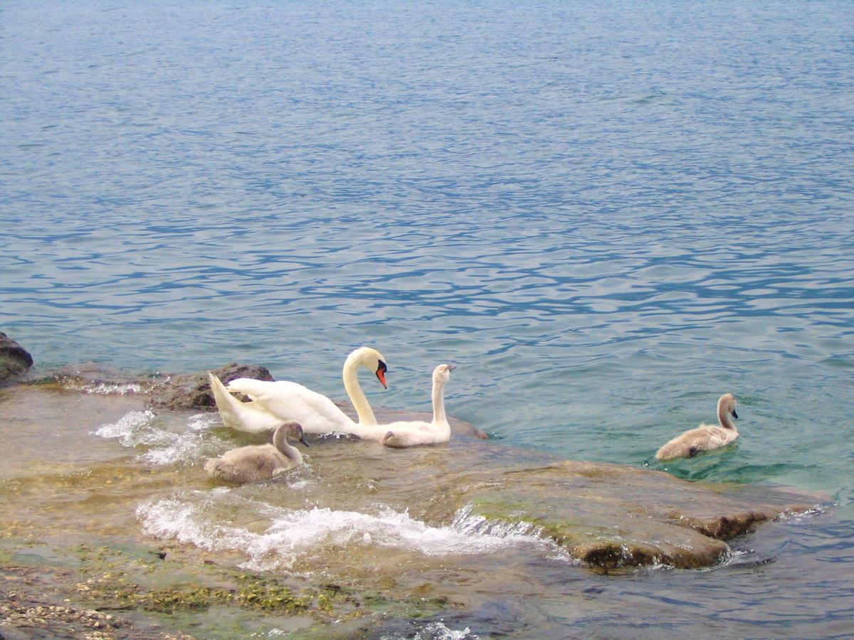 Beatrice Brenzone sul Garda